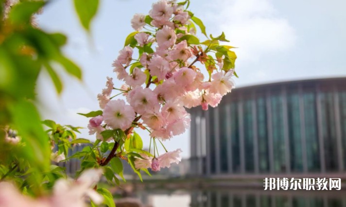河南藝術職業(yè)學院中專部怎么樣、好不好