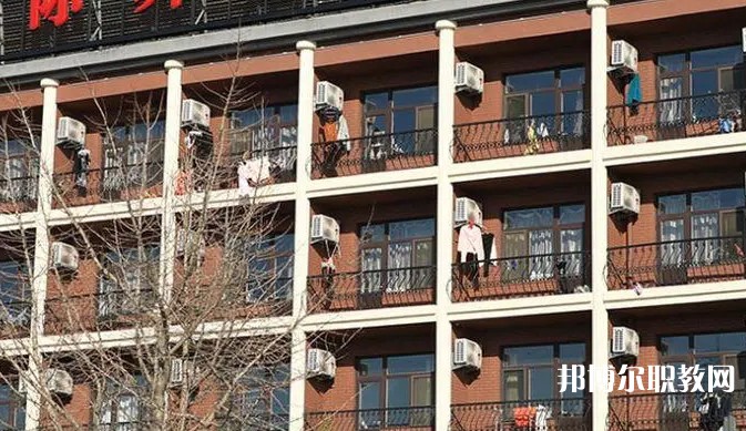 2024大連國際舞蹈學(xué)校招生計劃 招生人數(shù)是多少(附要求、條件、對象)