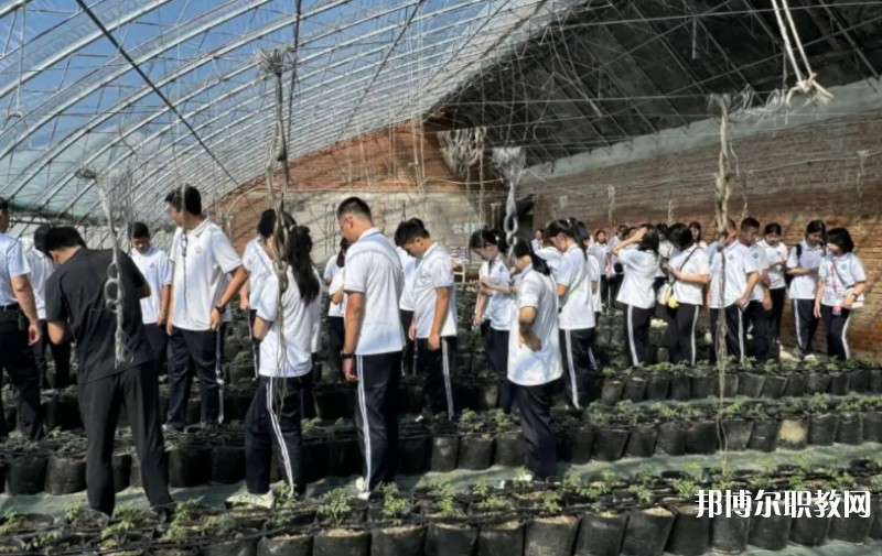 2024營(yíng)口市農(nóng)業(yè)工程學(xué)校招生計(jì)劃 招生人數(shù)是多少(附要求、條件、對(duì)象)