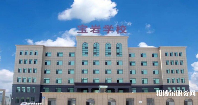 2025沈陽寶巖藝術(shù)學校招生計劃 招生人數(shù)是多少(附要求、條件、對象)