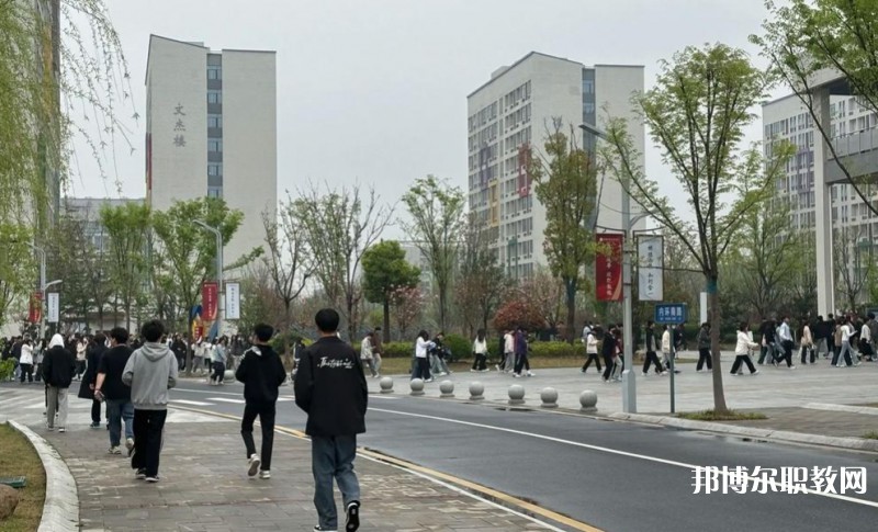 2025合肥技師學(xué)院招生計(jì)劃 招生人數(shù)是多少(附要求、條件、對(duì)象)